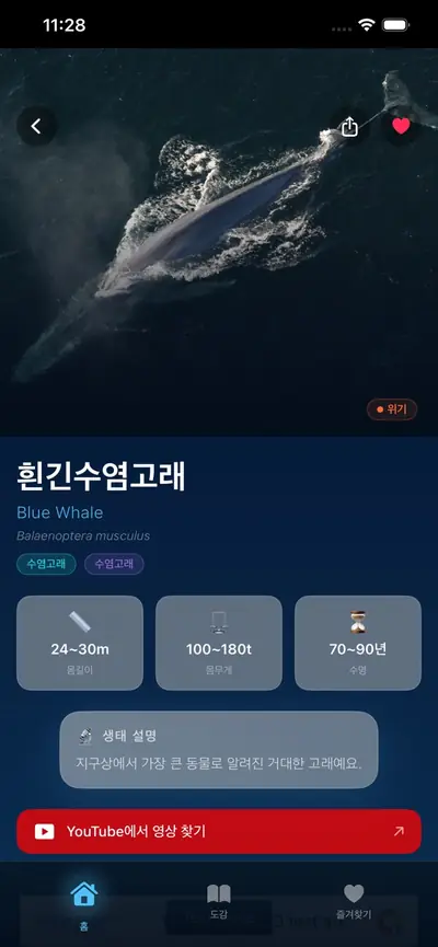 Whale Book - 고래 사전 화면 2